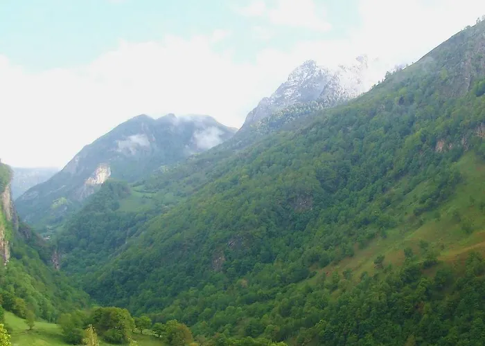 Chateau D'arance Cette-Eygun